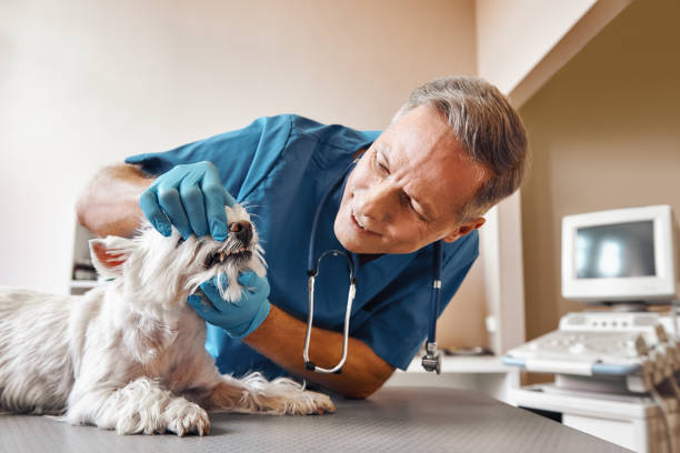 Best Walk-In Emergency Dentist in Rhome, TX